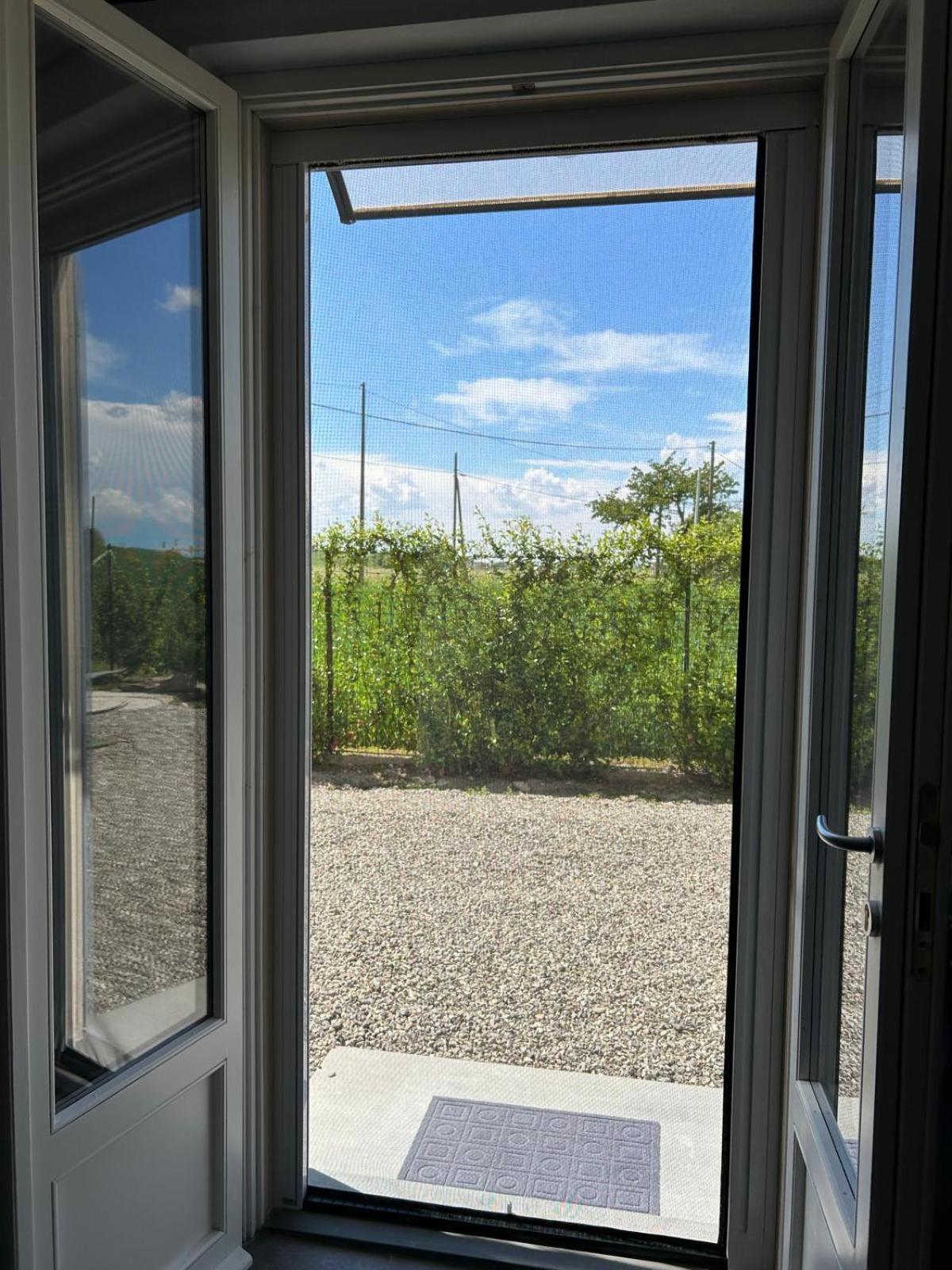 B&B Il Gelsomino Fontanelle di Roccabianca 外观 照片